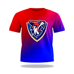 Delhi Capitals logo